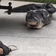 Illustration for article titled Gator, Tied Up And Pissed Off, Owns The Hell Out Of His Asshole Captors